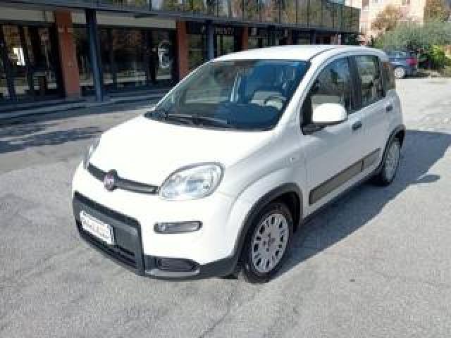 Fiat Panda 1.2 Lounge  5 Posti *ok Neopatentati* Euro 6b 