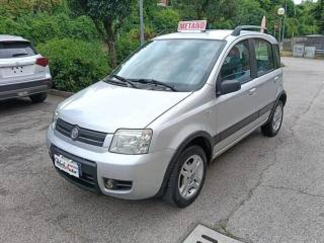 Fiat Panda 1.2 Climbing Natural Power 