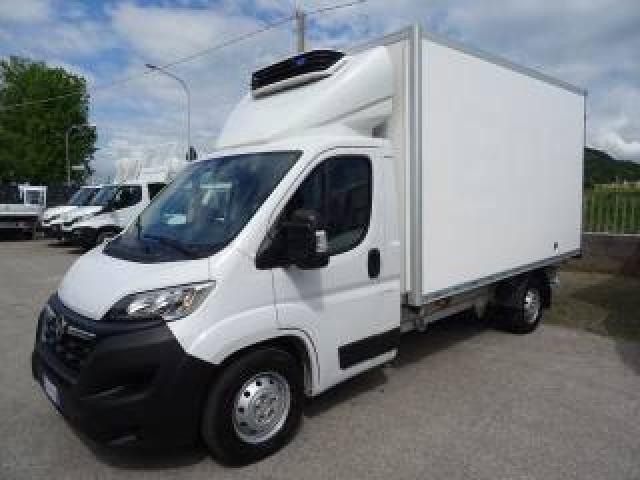 Opel Movano 35q Maxi 140hp Plungo Cella-20° Doppiatemperatur 