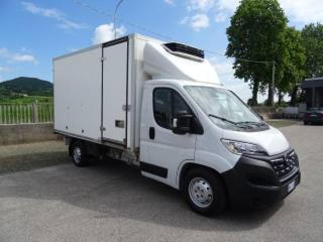 Opel Movano 35q Maxi 140hp Pl Cella 3.70 -20° Doppiatemperatur 