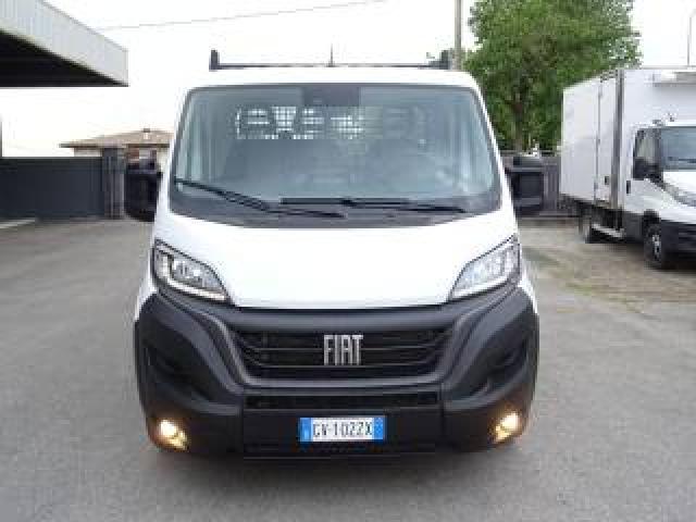 Fiat Ducato 35 2.2 Mjt 160cv Plungo Xl Cabinato Maxi Cass 4.20 