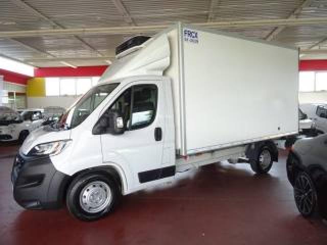 Opel Movano 35q.li Maxi 140hp Pl Cella 3.70 -20° Doppia Temp. 