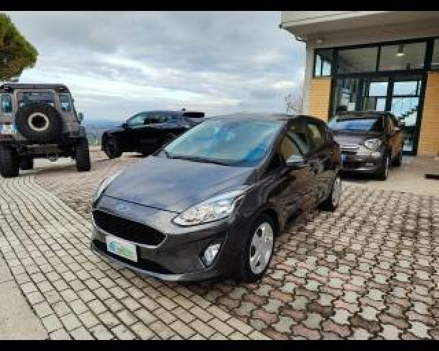 Ford Fiesta 1.5 Tdci 5 Porte Plus 