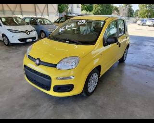 Fiat Pandina 1.0 Firefly 65 Cv Hybrid Icon 