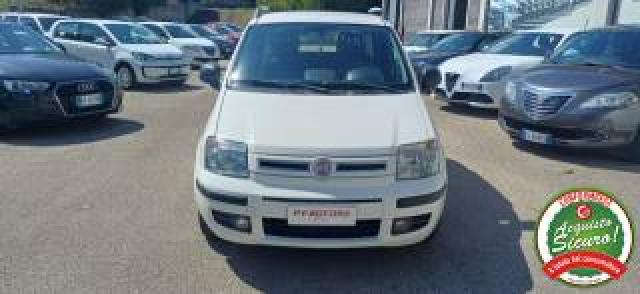 Fiat Panda 1.3 Mjt Dpf Van Dynamic 4 Posti 
