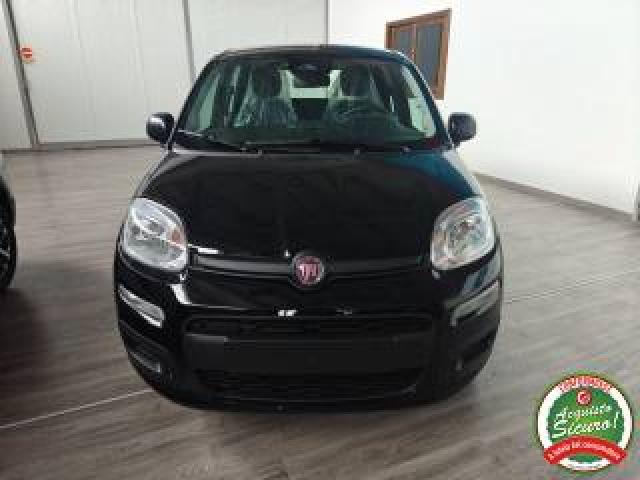 Fiat Pandina 1.0 Firefly 65 Cv Hybrid Icon 