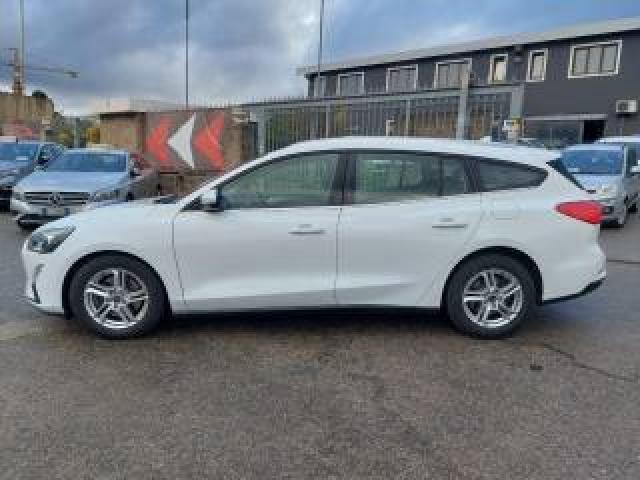 Ford Focus 1.5 Ecoblue 120 Cv Sw Business N1 