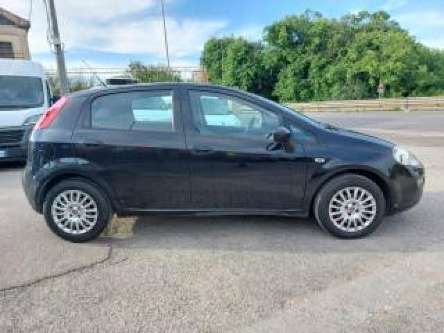 Fiat Punto 1.3 Mjt 75 Cv 5 Porte  