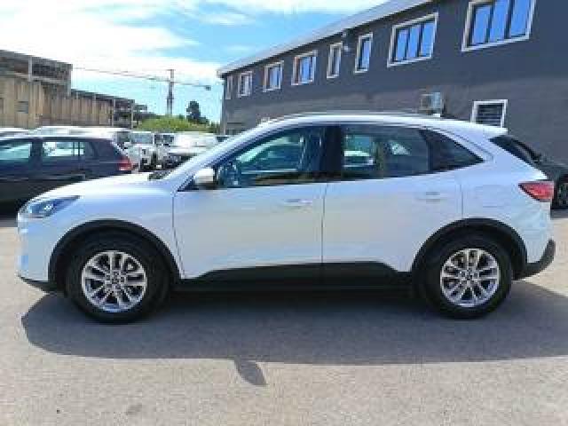 Ford Kuga 1.5 Ecoblue 120 Cv Aut. 2wd Titanium Business 