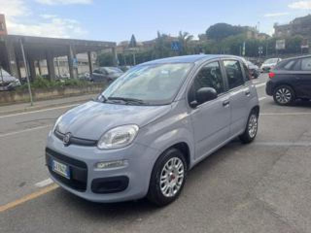 Fiat Panda 1.0 Hybrid 70cv 5° Posti - Unipro Tagliandata 