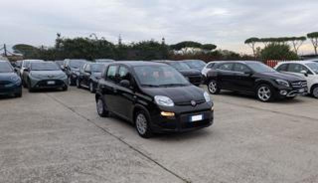 Fiat Panda Hybrid 1.0cc 70cv 