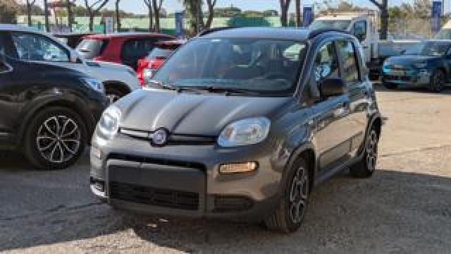Fiat Panda Hybrid Citylife 1.0cc 70cv 