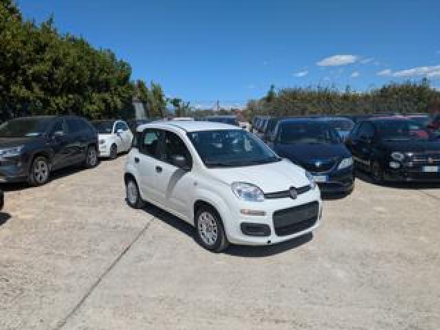 Fiat Panda Hybrid Firefly 1.0cc 70cv 