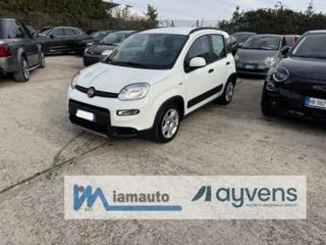 Fiat Panda Panda 1.0 Firefly Hybrid City Life 70cv 
