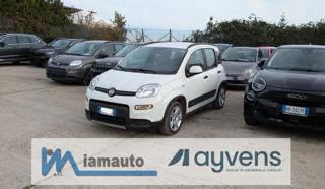 Fiat Panda Hybrid Firefly City Life 1.0cc 70cv 