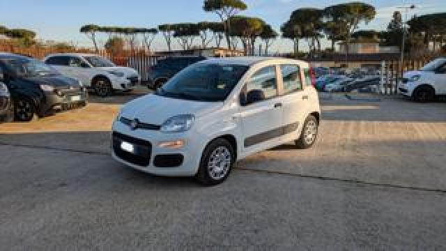 Fiat Panda Gpl 1.2cc 69cv 