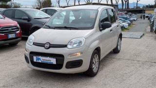 Fiat Panda Pandazzuri 1.2cc 69cv Climatizzatore 