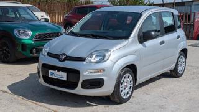 Fiat Panda 1.2cc 70cv 