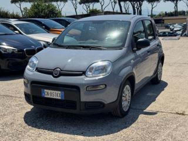 Fiat Panda Hybrid Citylife 1.0cc 70cv 