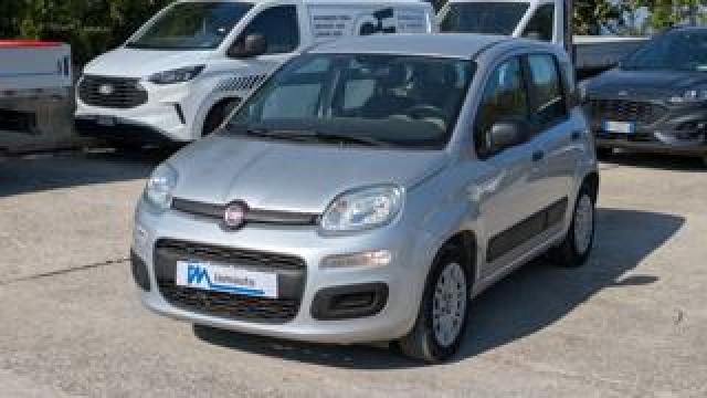Fiat Panda Twinair 0.9cc 85cv Automatica 