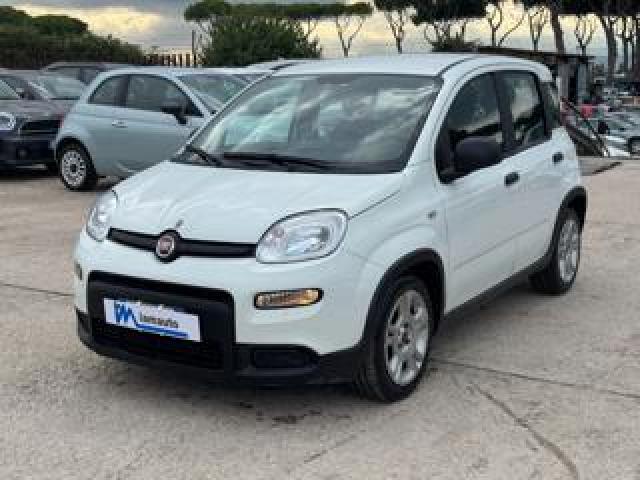 Fiat Panda Hybrid Citylife 1.0cc 70cv 