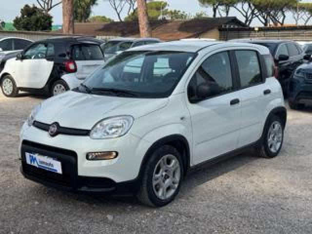 Fiat Panda Hybrid Citylife 1.0cc 70cv 