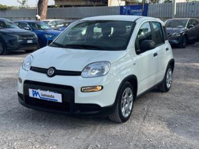 Fiat Panda Hybrid Citylife 1.0cc 70cv 