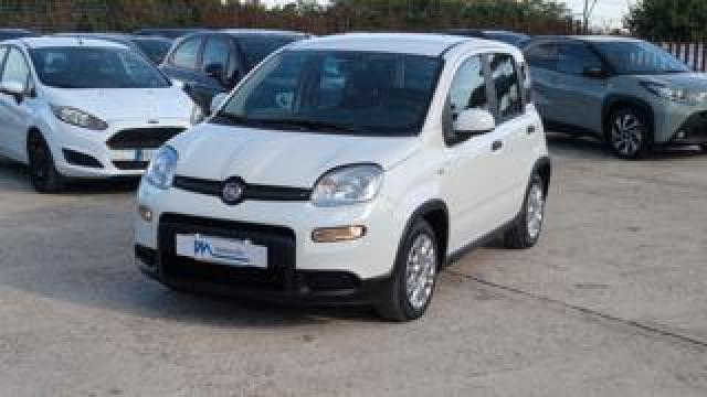 Fiat Panda 1.0hybrid Firefly 70cv 