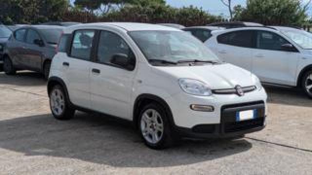 Fiat Panda 1.0hybrid Citylife 70cv 