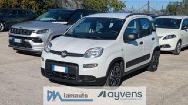 Fiat Panda Hybrid Firefly 1.0cc 70cv Citylife 