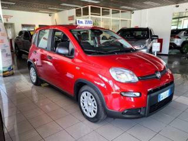 Fiat Panda 1.0 Firefly S&s Hybrid Pandina Km-Zero,promo* 