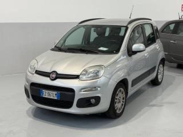 Fiat Panda 1.2 Lounge 5 Posti Ok Neopatentati 