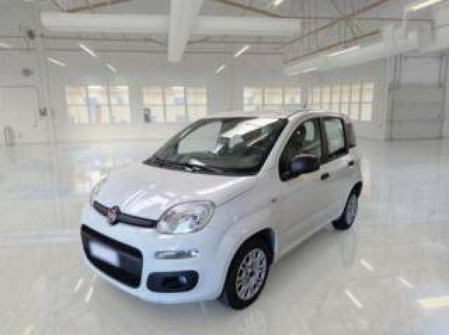 Fiat Panda 1.2 Easy Van Autocarro 4 Posti Prezzo Piu' Iva 