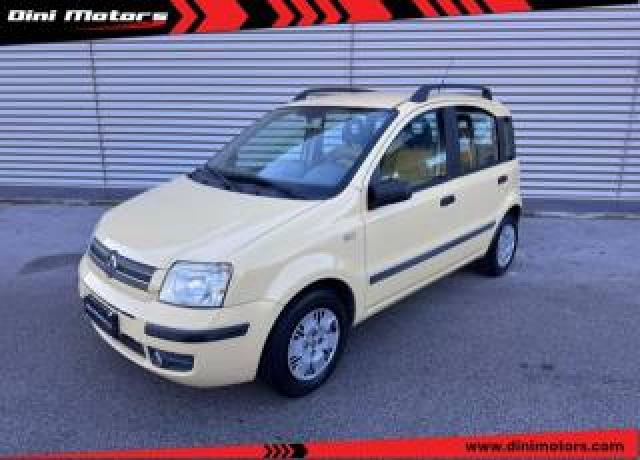 Fiat Panda 1.2 Dynamic Ok Neopatentato 