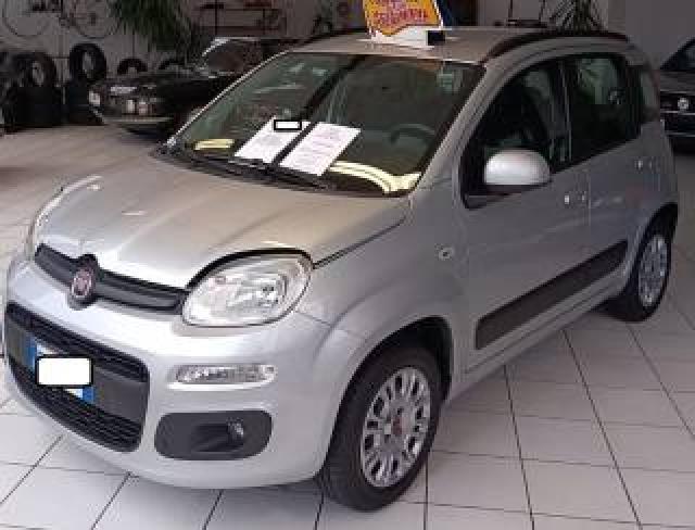Fiat Panda 1.2 Lounge    Garanzia 