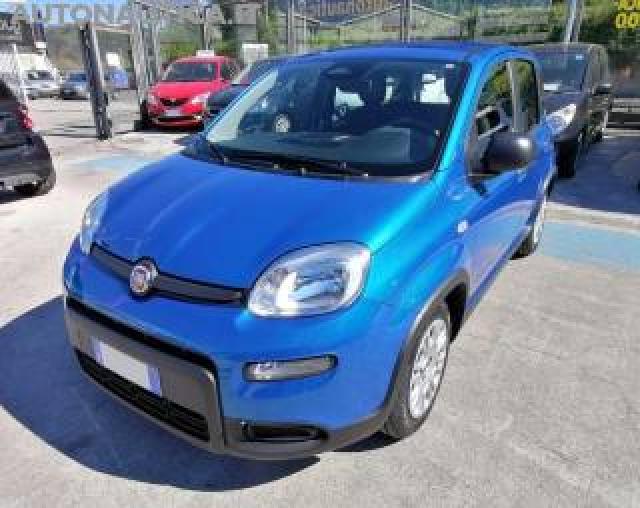 Fiat Panda 1.0 Firefly S&s Hybrid Pandina 