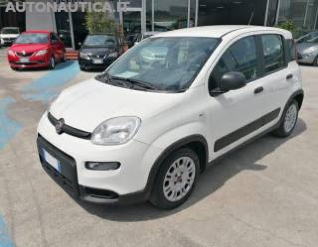 Fiat Panda 1.0 Firefly S&s Hybrid 70cv City Life 