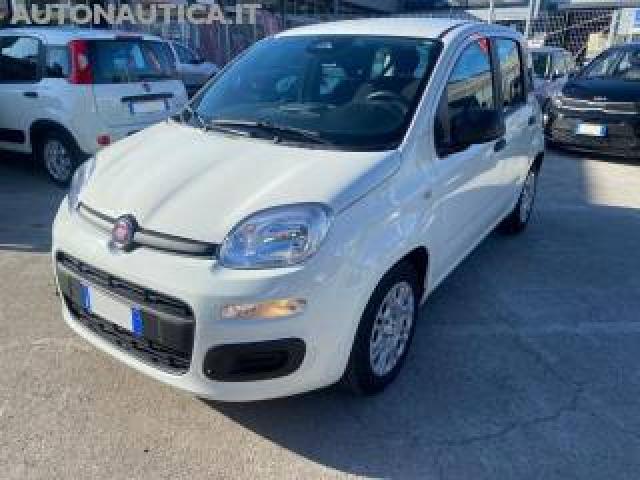 Fiat Panda 1.0 Firefly S&s Hybrid Pandina 70cv 