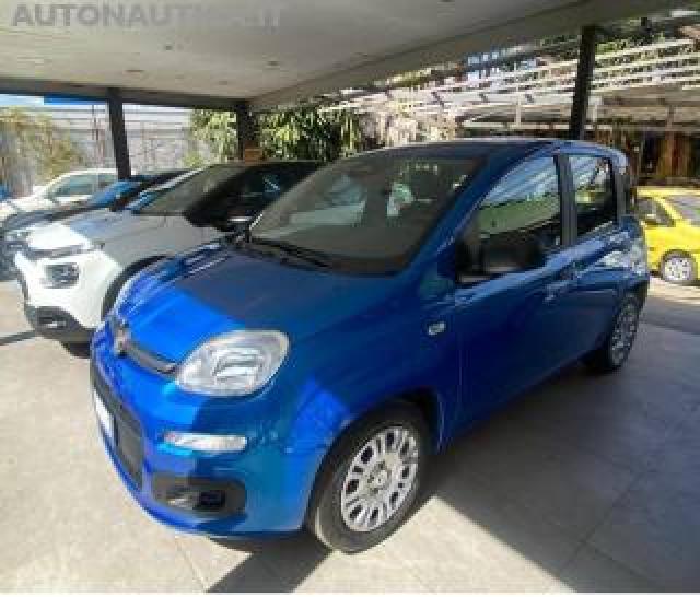 Fiat Panda 1.0 Firefly S&s Hybrid Icon 70cv 