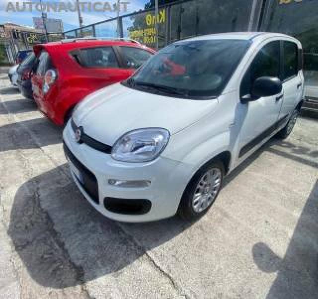 Fiat Panda 1.0 Firefly S&s Hybrid Icon 70cv 