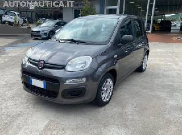 Fiat Panda 1.2 Easypower Gpl Easy 69cv 