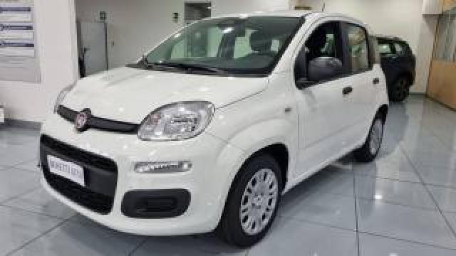Fiat Panda 1.0 Hybrid 5posti Prezzo Reale 