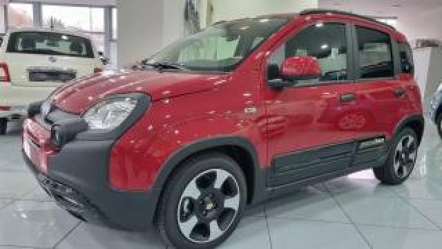 Fiat Panda 1.0 Firefly S&s Hybrid Pandina 