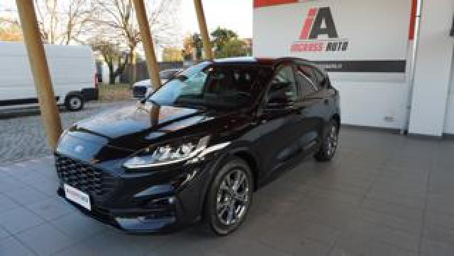 Ford Kuga 2.0 Ecoblue 120 Cv Aut. 2wd St-Line 