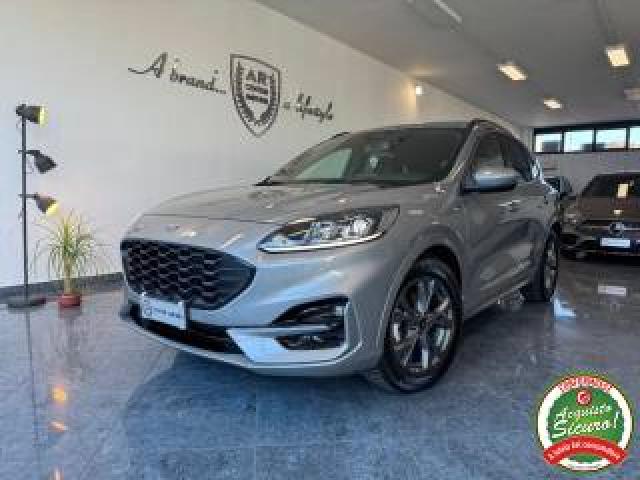 Ford Kuga 1.5 Tdci 120 Cv St-Line Design Full Stupenda 