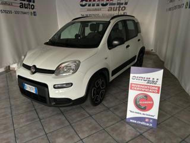 Fiat Panda 1.0 Firefly S&s Hybrid Citylife 
