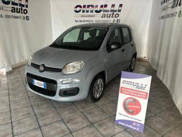 Fiat Panda 1.0 Firefly S&s Hybrid Easy 