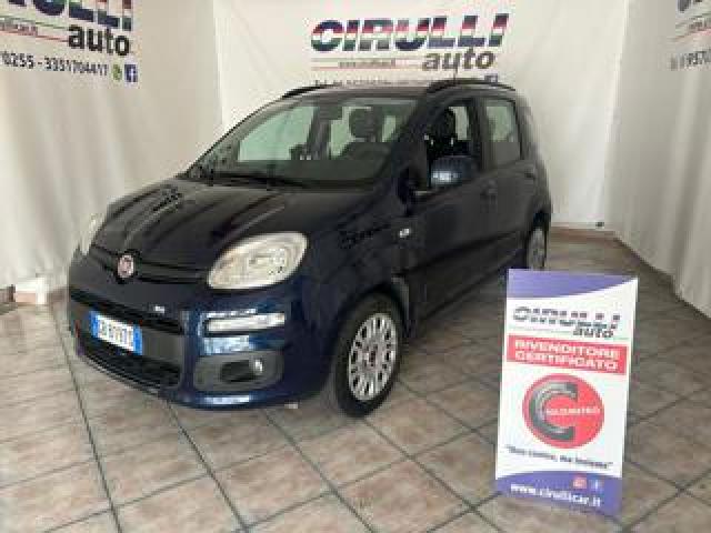 Fiat Panda 1.2 69 Cv Lounge 