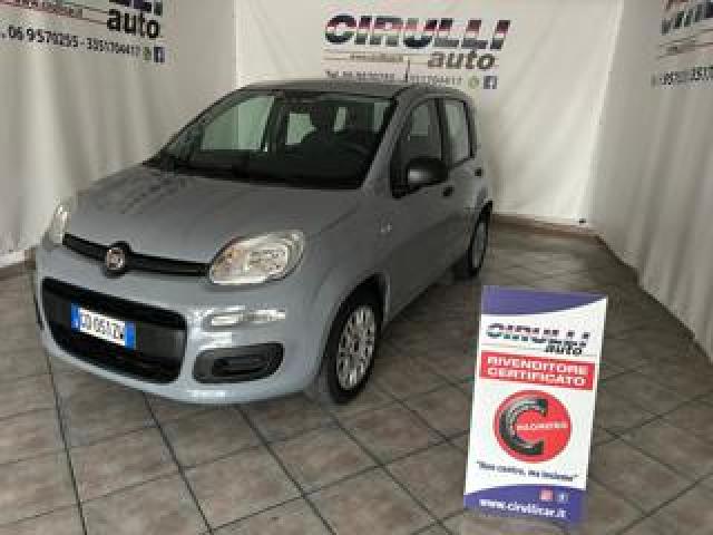 Fiat Panda 1.2 69 Cv Easy 