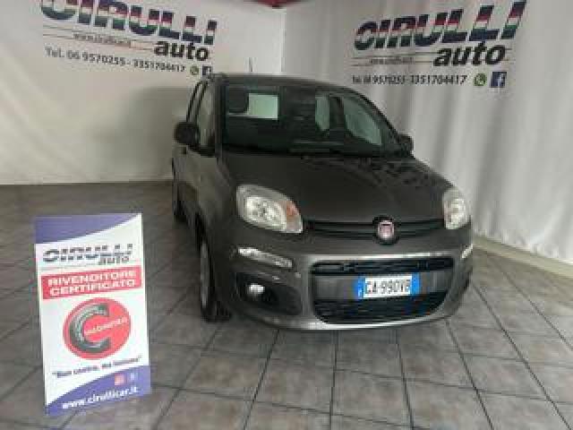 Fiat Panda 1.2 69 Cv Easy 